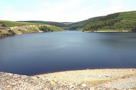 Llyn Brianne reservoir 