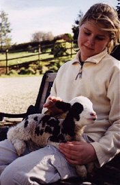 Devon Wildlife farm walk 