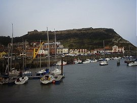 The Harbour 