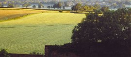 View from bedrooms 