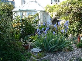 View of the garden 