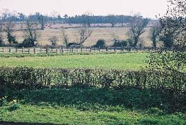 Warwickshire views 