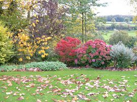 Garden in October 