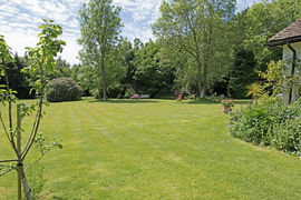 Spacious garden 