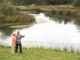 Guests enjoying our ponds 