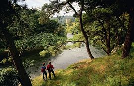 Neidpath Castle, Peebles 