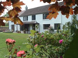 Tremaine Farm B&B Accommodation Cornwall  