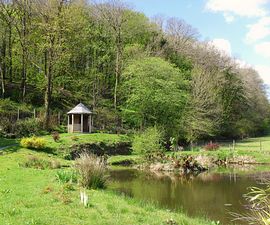 Relax by the pond 