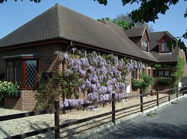 Wisteria House 