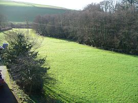 Take a walk by the stream around our paddock 