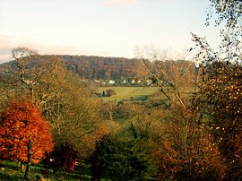 View from the terrace 