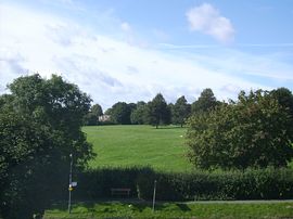 Views from Park View across Lowndes Park 