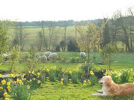 The view from the dining room & conservatory 