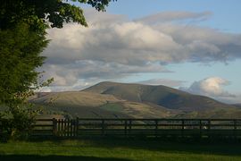 View from the Farm 