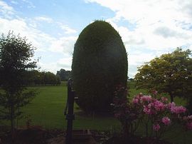 A View down the Garden