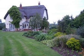 Our garden in summer. 