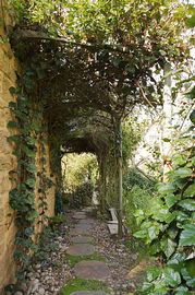 Path to Idler's Cottage 