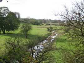 Pasture field along River Ouse 