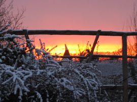 Beautiful sunset from the garden 