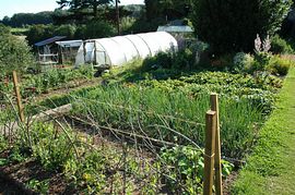 Organic Garden at Monkton 