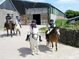 Riding from the farm 