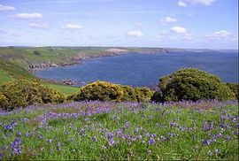 Coastal View to Bigbury Bay 