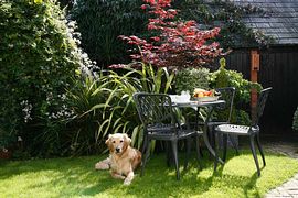 Breakfast in the garden 