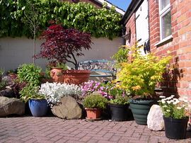 Suntrap in the courtyard 