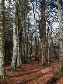 Great Glen Way 