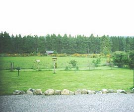 View from dining room 