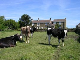 Cowclose Farm 