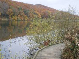 Linacre Valley 