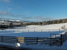 Winter views 