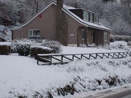 Winter View