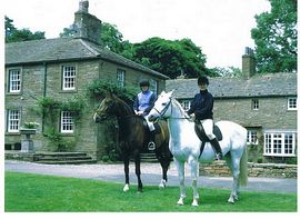 Horse riding 