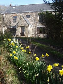 Spring at Llundain Fach 