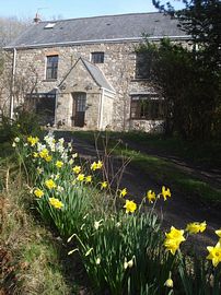 Spring at Llundain Fach 