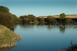 Coarse Fishing  Reserrvoir  nearby 