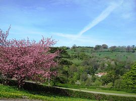 View from the house 