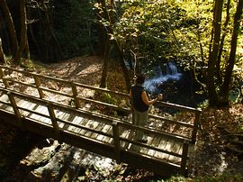 Along the waterfall walk 