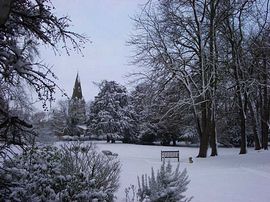 The Garden in Snow 