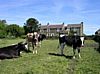 Cowclose Farm, Chesterfield